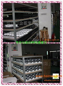 電腦攝像頭的制造與發(fā)展 OEM工廠(chǎng)、價(jià)格及計(jì)算機(jī)軟硬件開(kāi)發(fā)